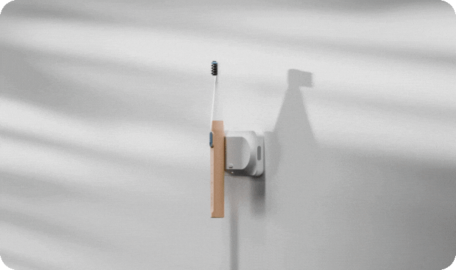 GentleX Electric Toothbrush